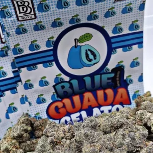 Buy BACKPACKBOYZ Blue Guava Gelato